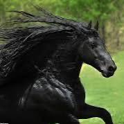 r8h6qw's profile picture. 