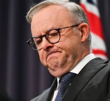 AntiAlbonese's profile picture. 📍Anti woke📍Pro Jesus 📍Anti Albanese, fighting for Australia