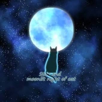 MdWd45H4HKYReWr's profile picture. よろしくお願いします