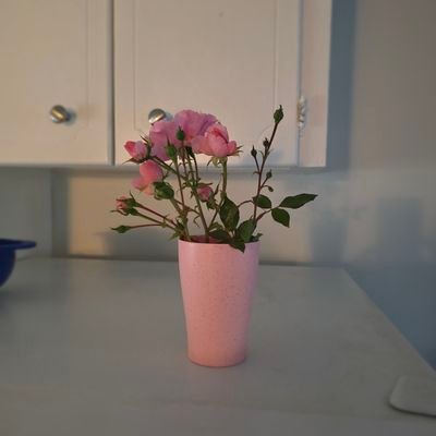 AntifaRootBeer's profile picture. Proud member of Antifa and proud MAGA mom. Those radical centrists are going to be tried for treason! #blessed #MakeAmericaTacoAgain