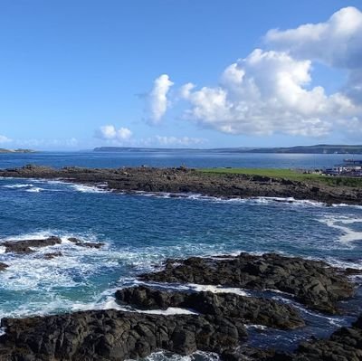 morton_lew97409's profile picture. 