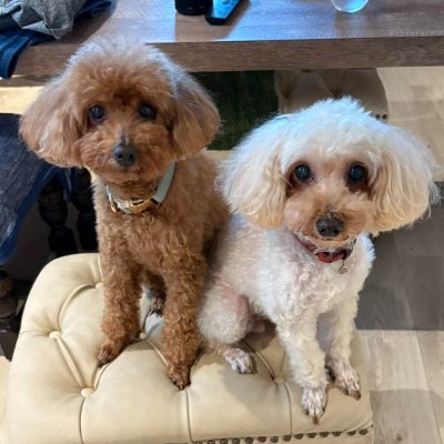 nobuyoshi171's profile picture. 〜やわらかく自分を持つ〜
シンガーソングライター
🎙️ギター弾き語りスペース再開しました