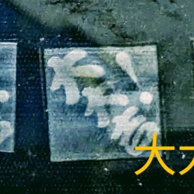 bNA6kTb4YCjZNCf's profile picture. 