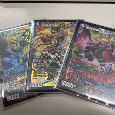 prsp19251's profile picture. 超竜バジュラとガイアッシュ覇道が好きです。 🥇✖️3🥈✖️1🥉✖️1 DMGP2022アドバンスBest128