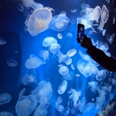 mechan619's profile picture. #長女 26才 #次女 16才 #三女 15才の #三姉妹 の母 です😊
趣味は #推し活 🙋‍♀️#非同期テック部 、#クマガイ組 、#膝サポ 、  #circrew 、 #バチラー です❤️ #ALS ( #筋萎縮性側索硬化症 )で父を看取り #子宮頸がん で #広汎子宮全摘術 後の #癌サバイバー です🙇‍