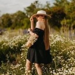 Seedev6602991's profile picture. 