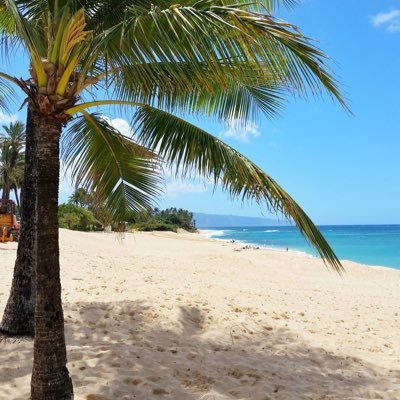 Angelrose187's profile picture. 