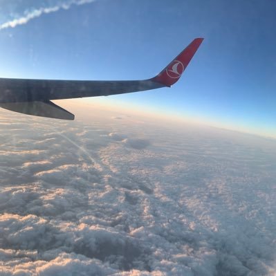 TakedaTakemaru's profile picture. 