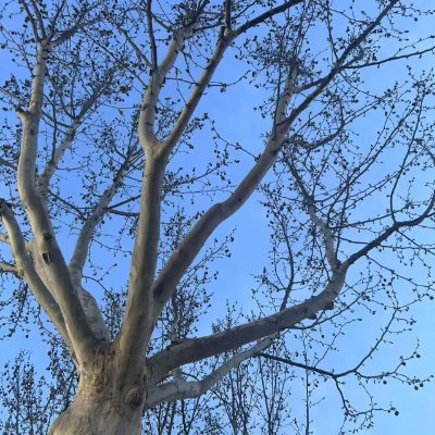 jogadorkro's profile picture. 