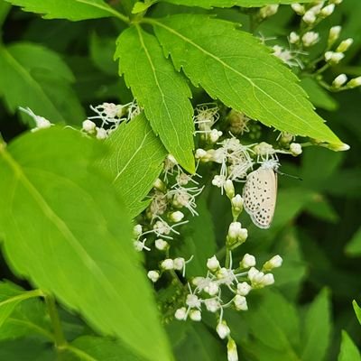 igst_0601's profile picture. 名古屋市守山区にある創業75年の変圧器、各種盤用の銅部品の加工屋です🏭各種コンサル系、マーケティング系のフォローご遠慮させて頂いてます。
https://t.co/u3szLJgQBE