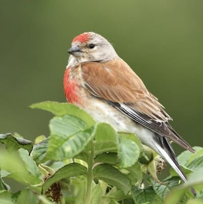 PamDillard27847's profile picture. Mum of two, hoping we can revive faith in our communities that foster universal values. FFWPU member. Respect all faiths.