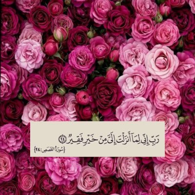 PaskalMoona's profile picture. Studied MBBCH At faculty of Medicine,university of Zawiyah. Don’t stop until you proud 🇲🇦🫶🏽🇱🇾