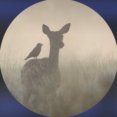 G85461916's profile picture. 