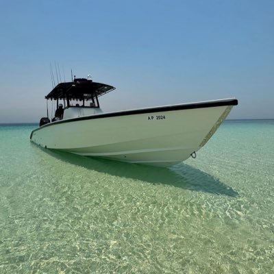 ivahamd's profile picture. Writer📝