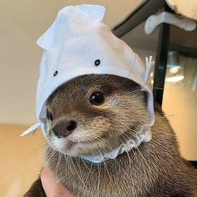 sttdy56's profile picture. 투자 하는 직장인🫠 / 운동 & 취미생활 / 잡담