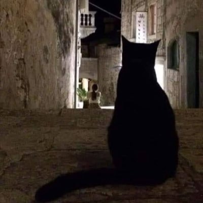 Clairezrte's profile picture. 