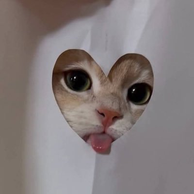 bxnz19x8's profile picture. #TLEFIRSTONE #KENGNAMPING #เชื่อใจป๊าก 🫠💚🩷🤏