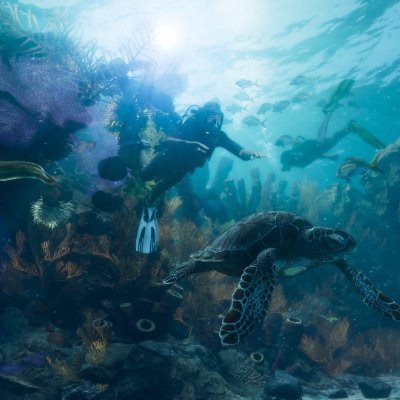 alternateusual's profile picture. 