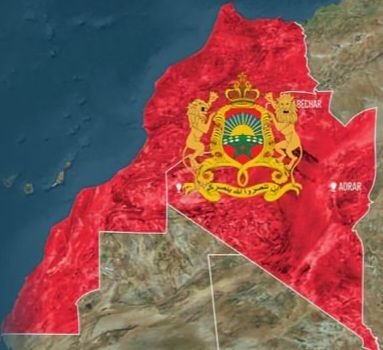 WahidaElbahi's profile picture. 