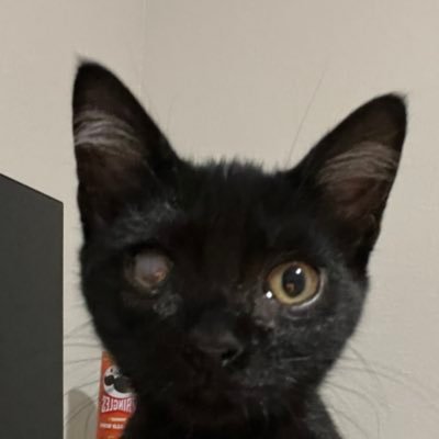 maikamanX's profile picture. MAiKAMAN MANTRAS ONLINE. WORDSMITH. PHILOSOPHER. MAKING BEATS 4 A BORING DUMB BITCH. Wasian Bob Dylan. JIJI🖤 MOMO🖤 INFP. 24.