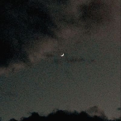 AldiraSept3081's profile picture. Ask first