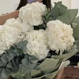 Beaeveah208200's profile picture. 