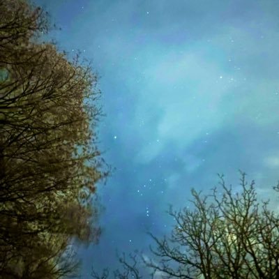 pirate58405's profile picture. Parody/fiction … * AU * Pay for my future legal fees * counter-COINTELPRO wh*re Artist Haunted P.I. Trans*sexual gym bunny historian. 🇭🇹 🔞🚬🔪🩸🦇⛓️🪞🪩🕸️💍