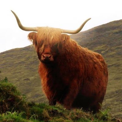 farmerD83's profile picture. @farmer83.bsky.social