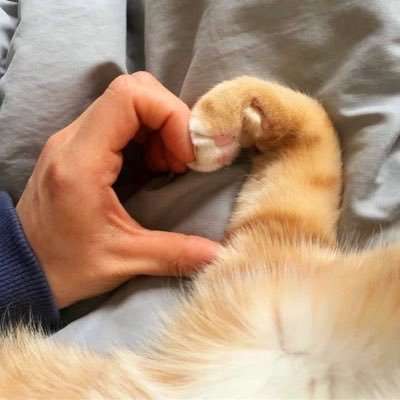 jdxnm_fen's profile picture. for nct127 in my heart