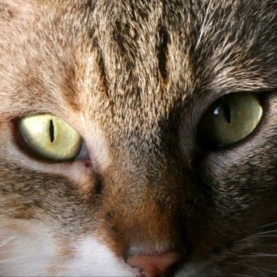 eric_malaterre's profile picture. 