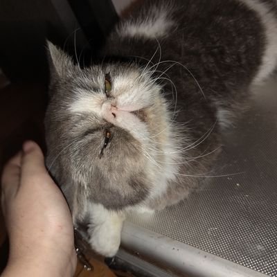 Cleo_345's profile picture. 