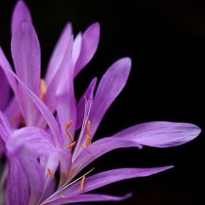 Room9888's profile picture. Music 🎵 Poem 📝 Art 🎭