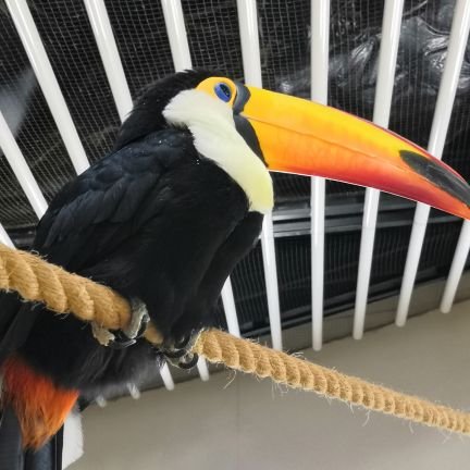 49m1nqD2Eu31762's profile picture. 