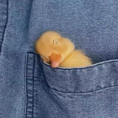 itsnauki's profile picture. 📓 mijn online diary | 🐰 self-care, coding, crocheting, languages learning  | 🛋️ room of freedom