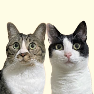 oribihan350's profile picture.