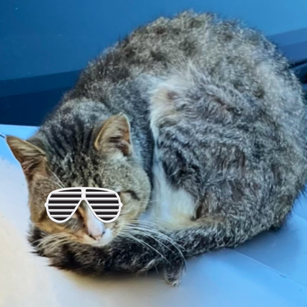 rizzy1990's profile picture. | SYD 🇦🇺 | LFC Fan ⚽