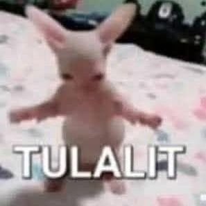 AyangWulandarii's profile picture.