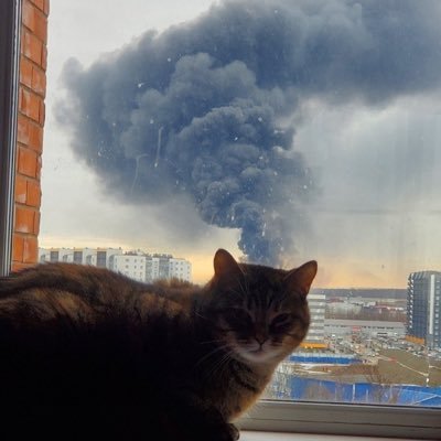 charsiew705's profile picture. 