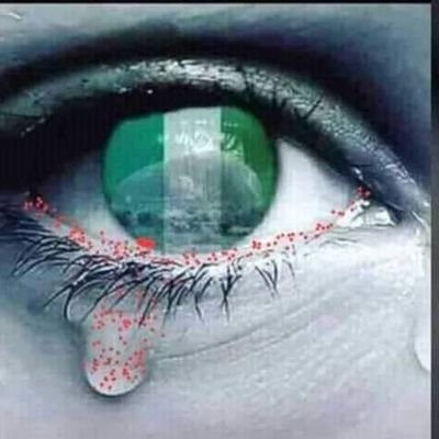 Olarmaike's profile picture. 💌🌹💋