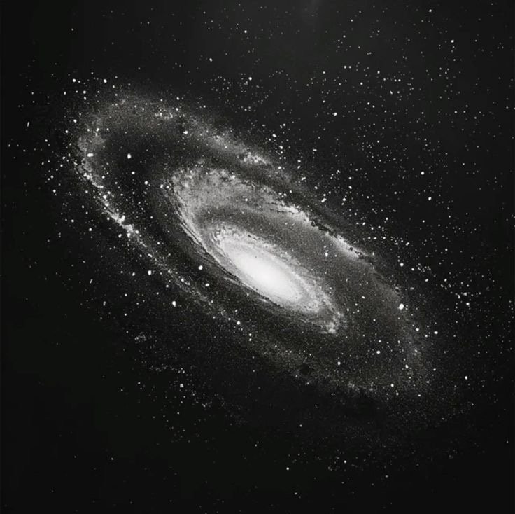 Aliceyvj's profile picture. new account - old one got logged out