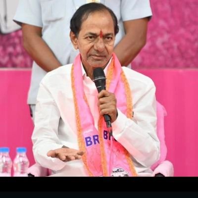 SMudiraj91313's profile picture. software developer