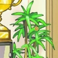 CharleyWAAPlant's profile picture. Houseplant and Mascot of the Wright Anything Agency | Water Enjoyer | Mayor of Kurain Village. | https://t.co/zTN1rxOr9z