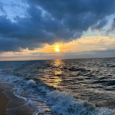 610232819qile's profile picture. 