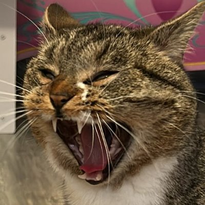 3vindelisi's profile picture. Bu Dünya iyi olanlarin degil, Iyi Oynayanlarin Dünyasi ...