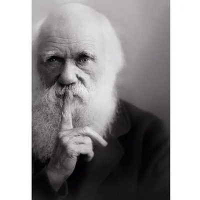 realsohamparekh's profile picture. Engineering @darwin_studios