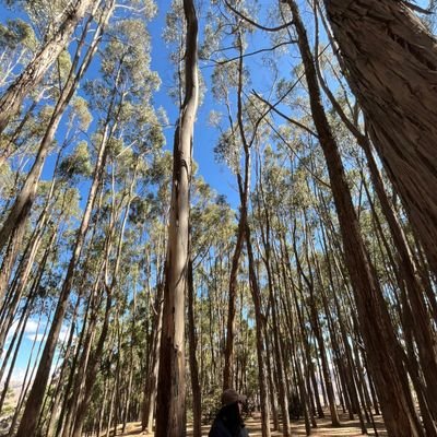 ppowah's profile picture. ♡ • Ravenclaw • Alérgica a la vida •