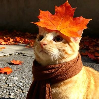 zongyaqi080928's profile picture. 