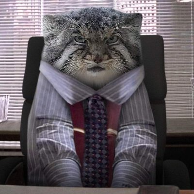 multibolionaire's profile picture. networth of 160 bolion bucks