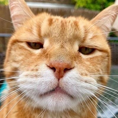 belasolana's profile picture. 