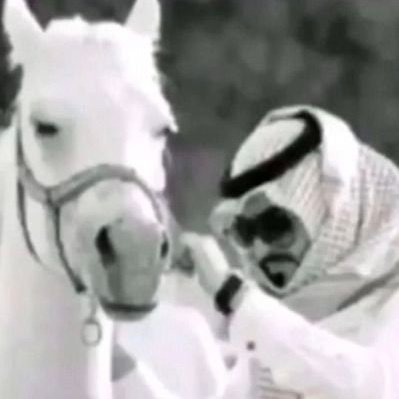 bfbafbnfhrh's profile picture. 